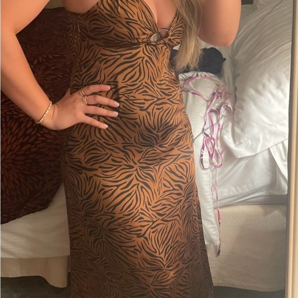 ZARA Brown Zebra Print Dress